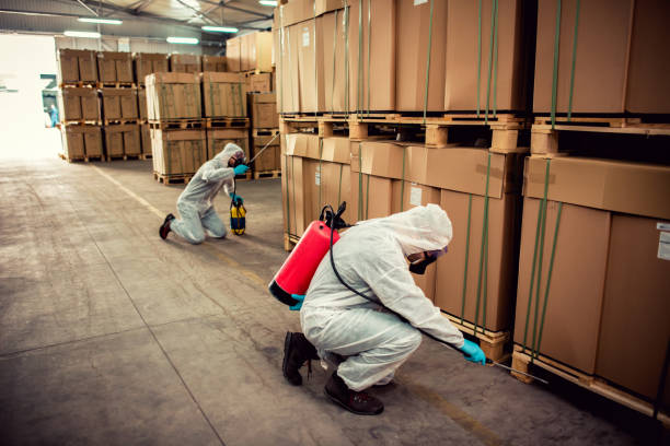 Best Emergency Pest Control  in Flower Mound, TX