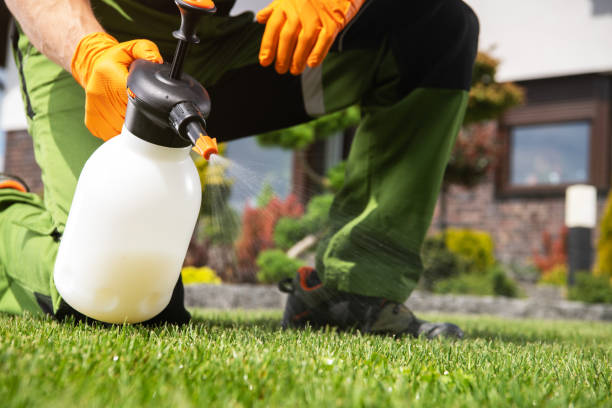Best Best Pest Control Near Me  in Flower Mound, TX