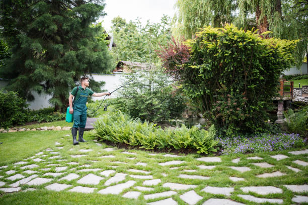 Best Mosquito Control Services  in Flower Mound, TX