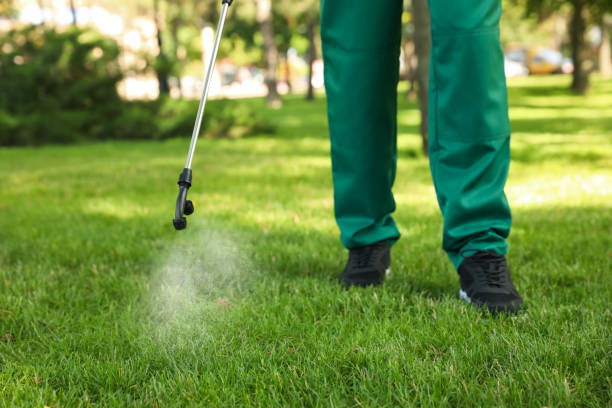 Best Local Pest Control Services  in Flower Mound, TX
