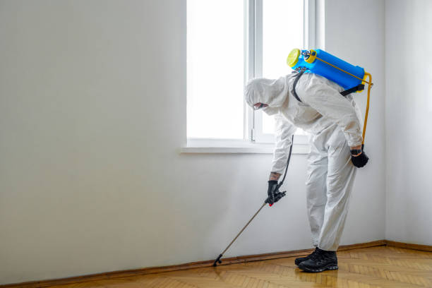 Best Best Pest Control Companies  in Flower Mound, TX