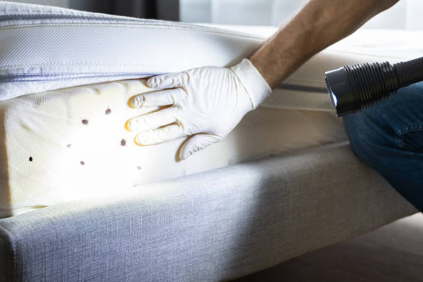 Best Commercial Pest Control Services  in Flower Mound, TX