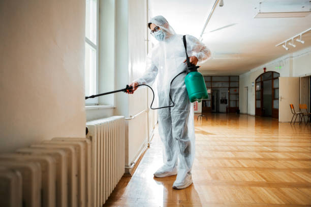 Best Termite Control Services  in Flower Mound, TX